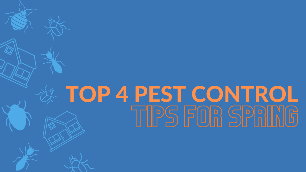 The Top 4 Pest Control Tips for Spring