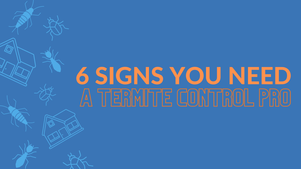 Blog post header image for the article 6 Signs You Need A Termite Control Professional