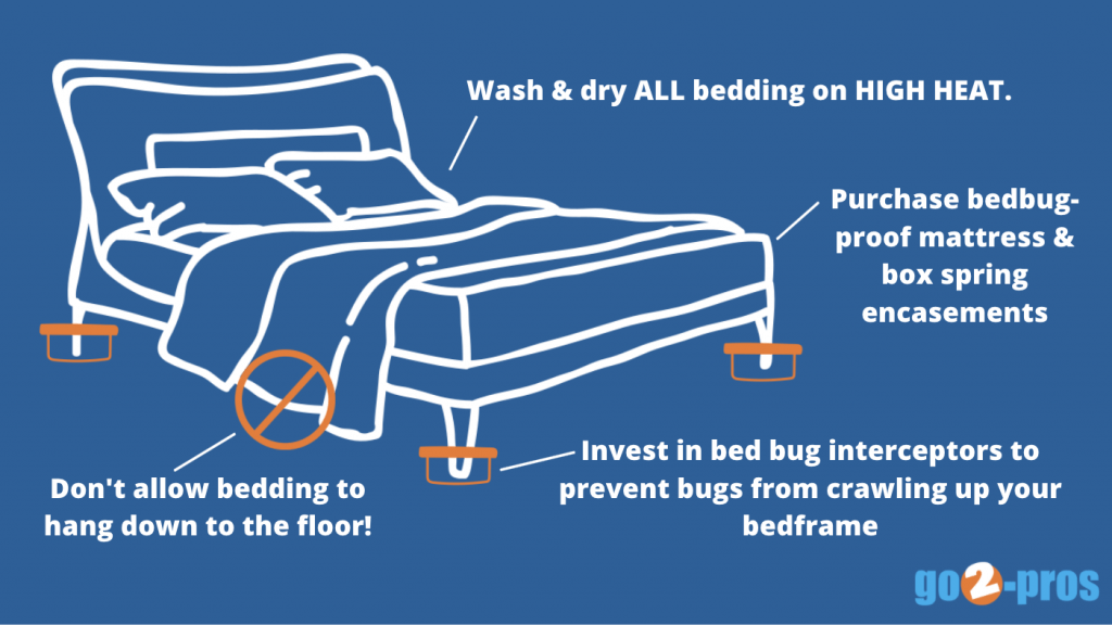 prevent bed bugs on bed
