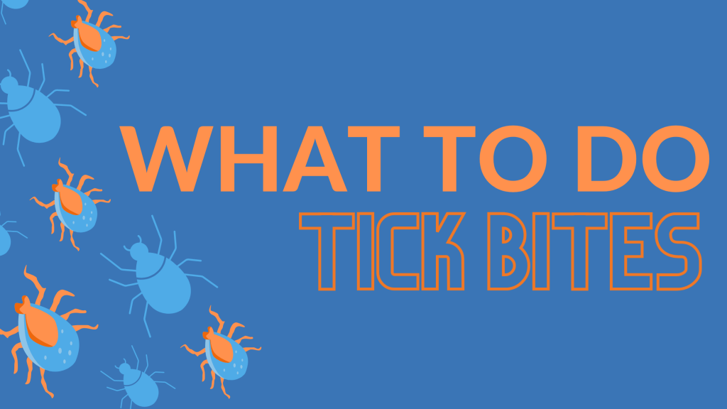 WHAT TO DO AFTER A TICK BITE