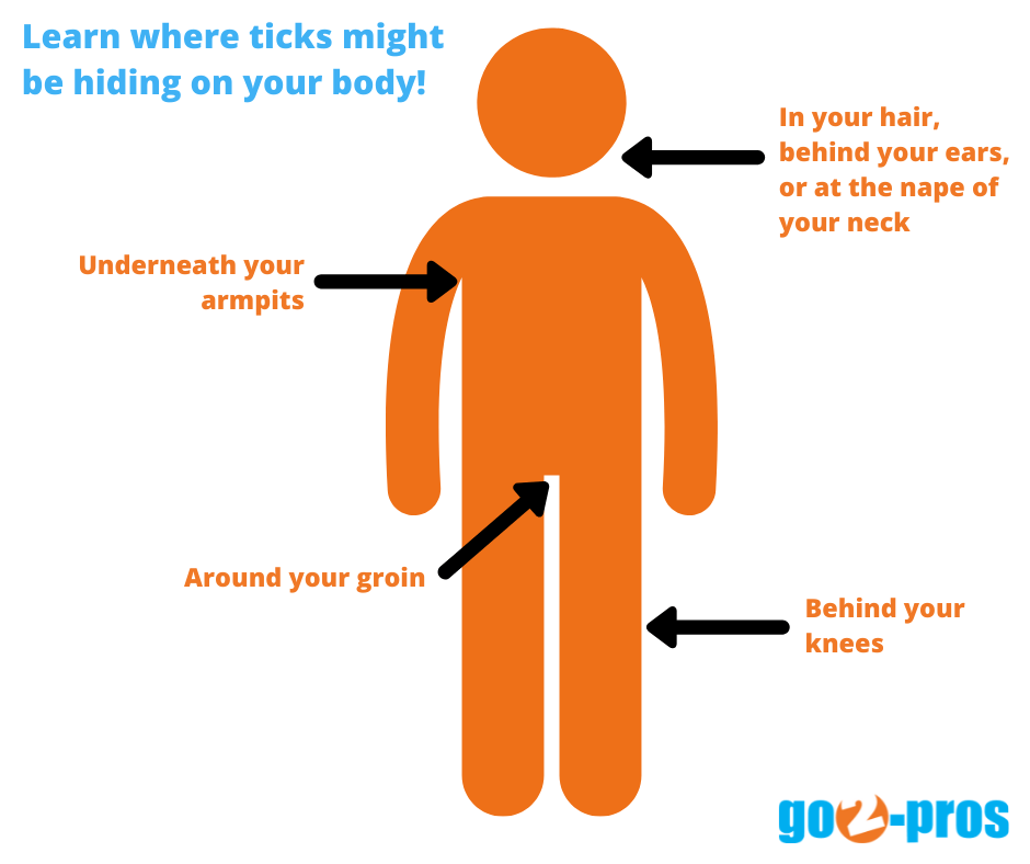 What To Do After A Tick Bite - go2-pros