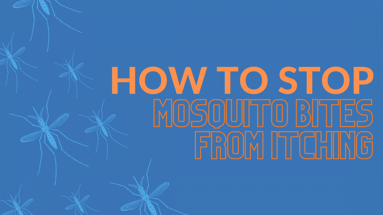 How To Stop Mosquito Bites From Itching - go2-pros