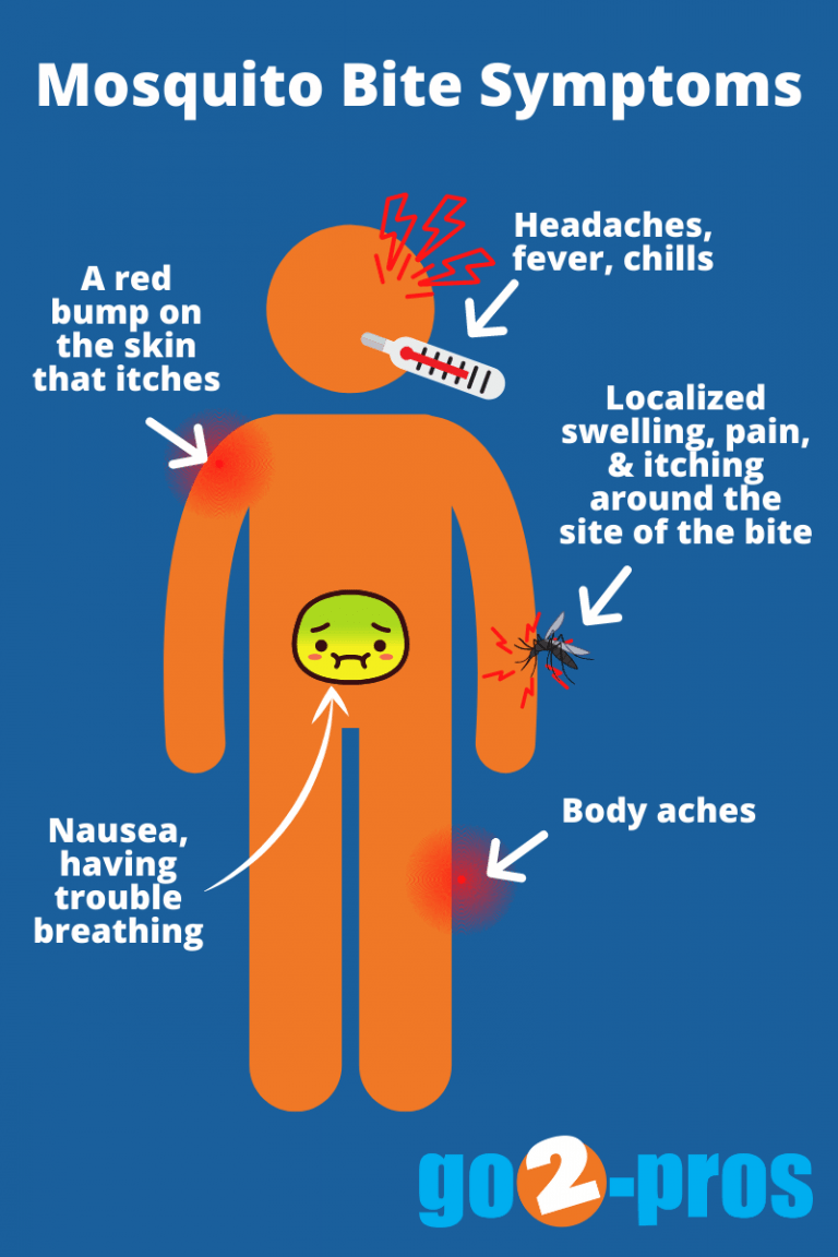 Side Effects Of Mosquito Bites