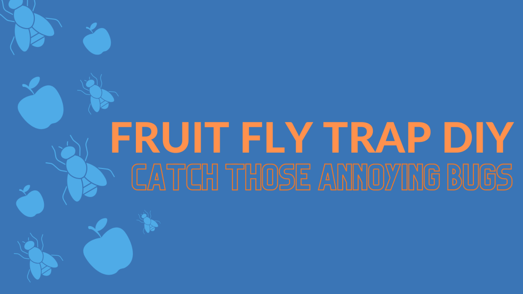 Fruit Fly Trap DIY For Catching Those Annoying, Sneaky Bugs