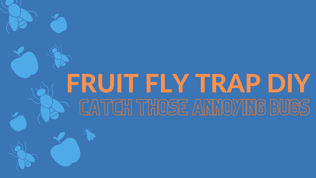 How to Really Get Rid of Pesky Fruit Flies