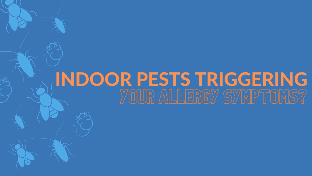 Are Indoor Pests Triggering Your Allergy Symptoms?