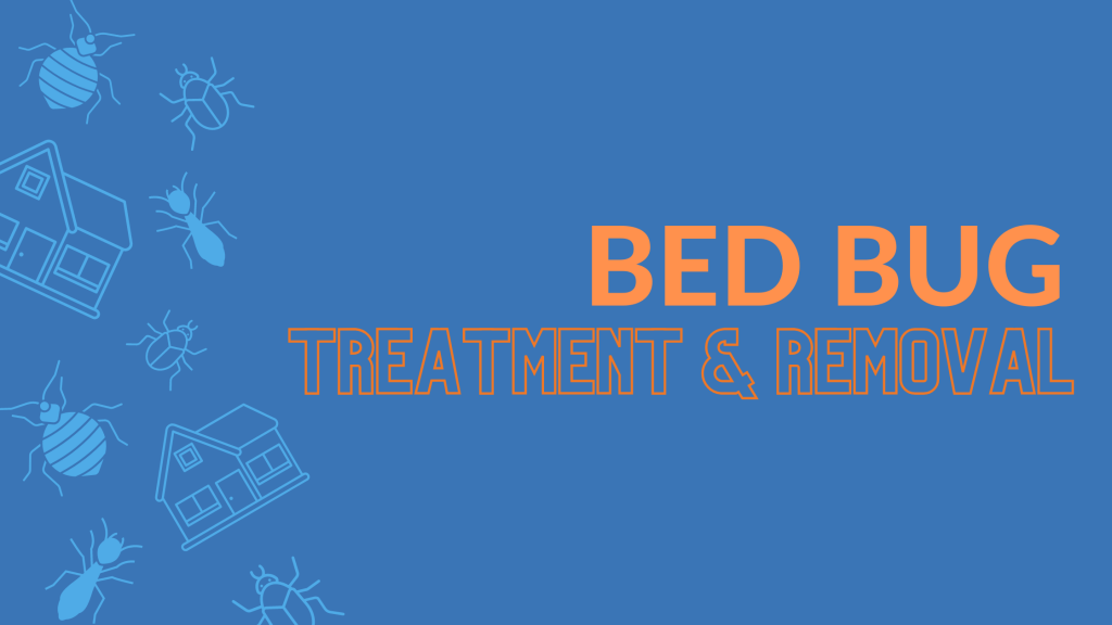Everything You Need To Know About Bed Bug Treatment & Removal