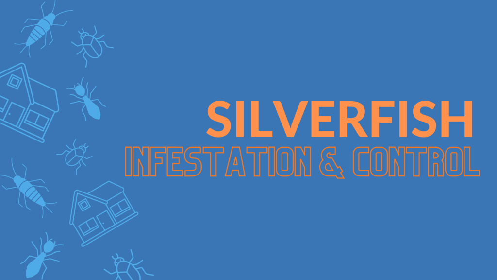 Silverfish Infestation & Control