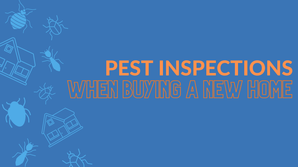 pest inspections when buying a new home