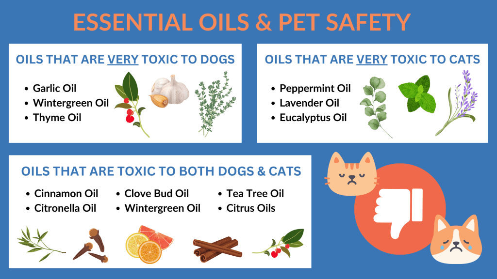 Essential oils are not one of the pet-safe ways to get rid of ants. They are highly ineffective and can be very dangerous. 